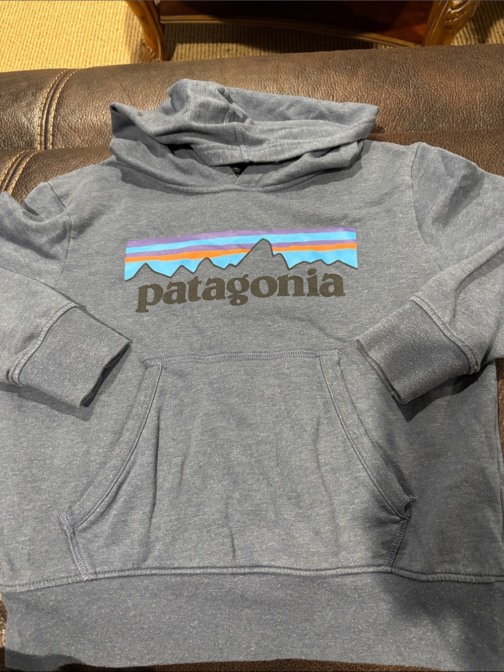 Patagonia Heather Gray Hoodie with Multicolor Mountain Logo